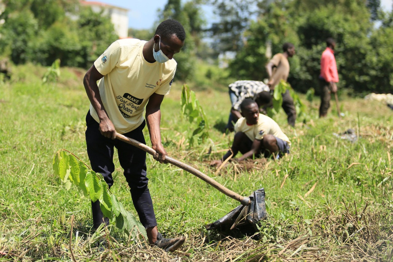 Progetto STIHL per il clima in Uganda: fase di impianto